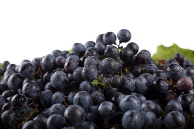 Akçaağaç yapraklarındaki taze üzümler