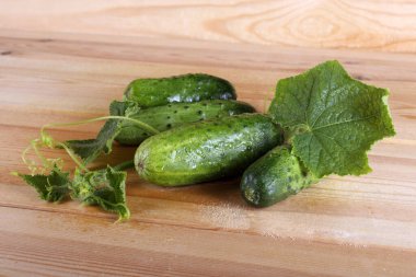 Salatalıklar masaya. Ülke biçimi