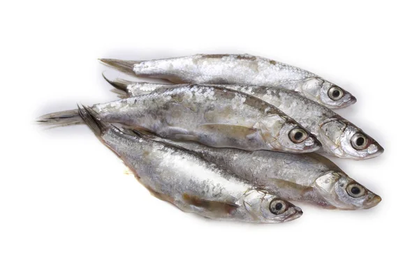 Little Herring Isolated White — Stock Photo, Image