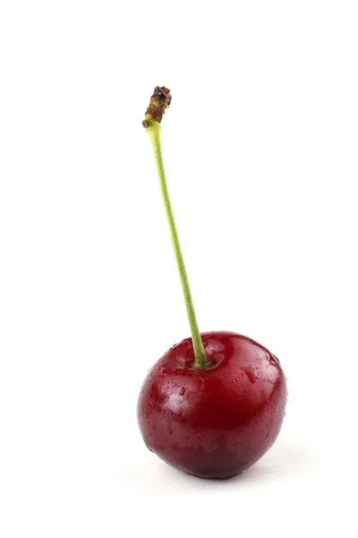 Cerezas Aisladas Sobre Fondo Blanco — Foto de Stock