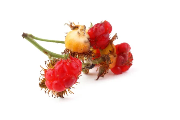 Koreańskie Maliny Rubus Crataegifolius Dalekowschodni Przysmak — Zdjęcie stockowe