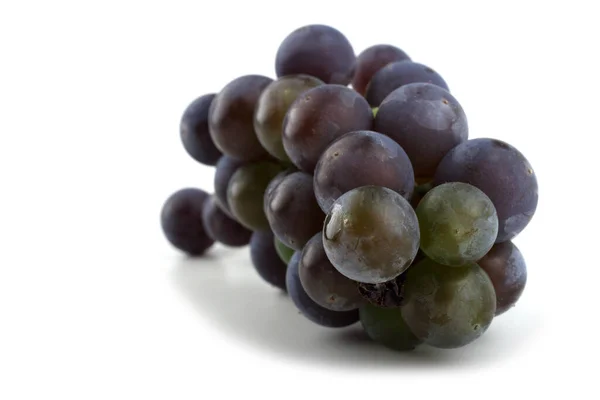 Wine Variety Red Grape — Stock Photo, Image