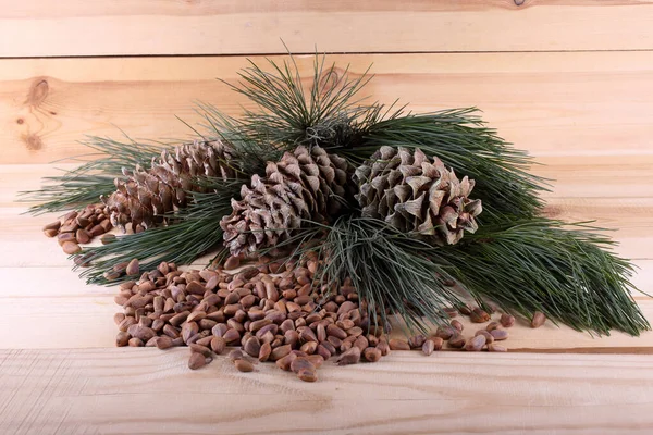 Cedar Pine Nuts Delicacy — Stock Photo, Image