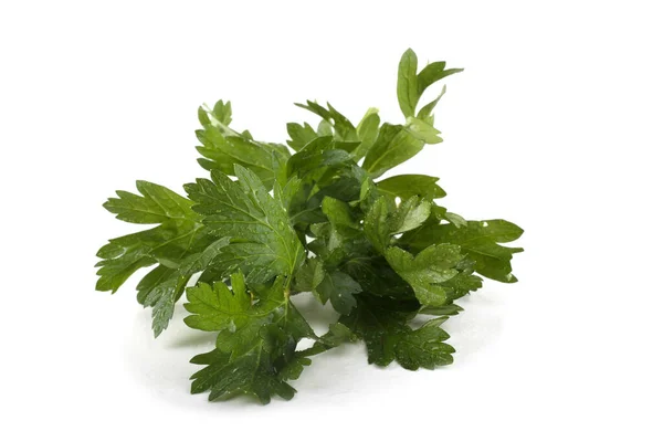 Fresh Aromatic Parsley Isolated White Background — Stock Photo, Image