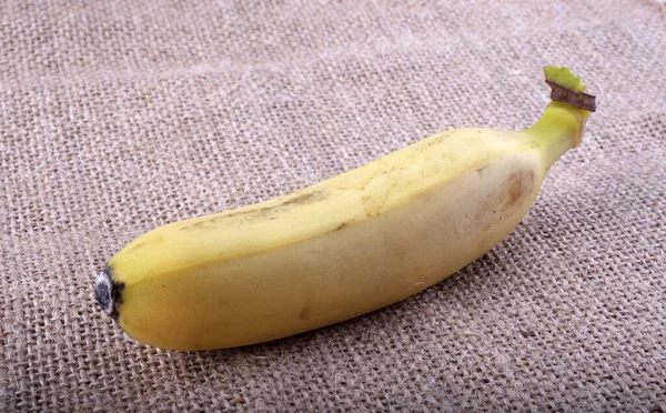 Primer Plano Frutas Plátano Tropicales — Foto de Stock