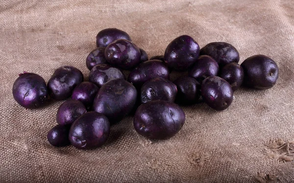 Violet Potatoes Bagging — Stock Photo, Image