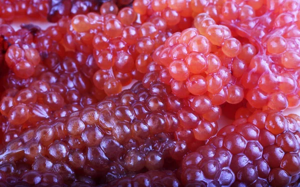 Fresh Red Caviar Background — Stock Photo, Image