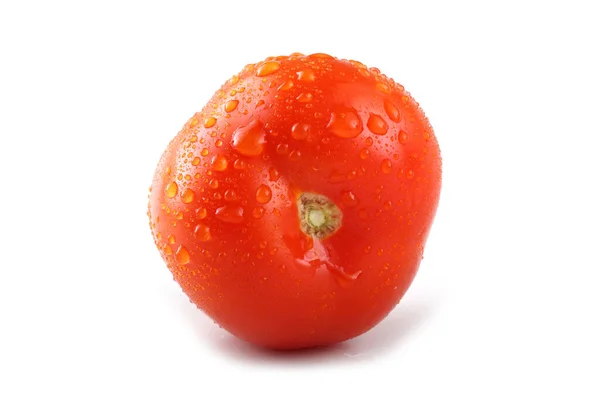 Tomate Rojo Fresco Sobre Fondo Blanco — Foto de Stock