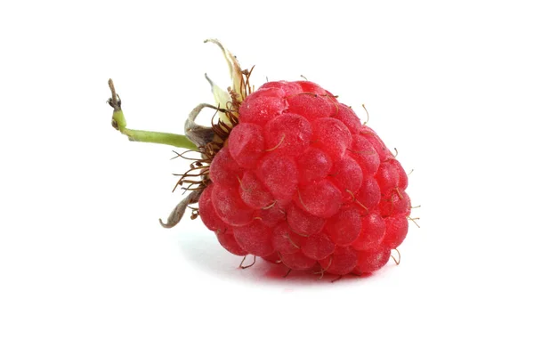 Frische Bio Himbeeren Auf Weißem Hintergrund — Stockfoto