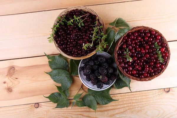 Cosecha Moras Frescas Cerca — Foto de Stock