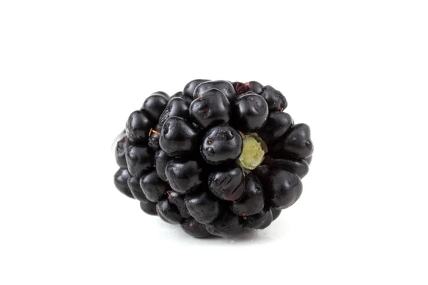 Blackberry White Background — Stock Photo, Image