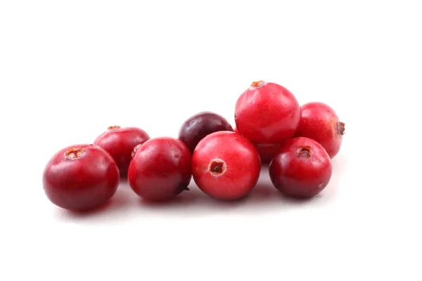 Κοντινό Πλάνο Φρέσκων Ξινών Cranberries — Φωτογραφία Αρχείου