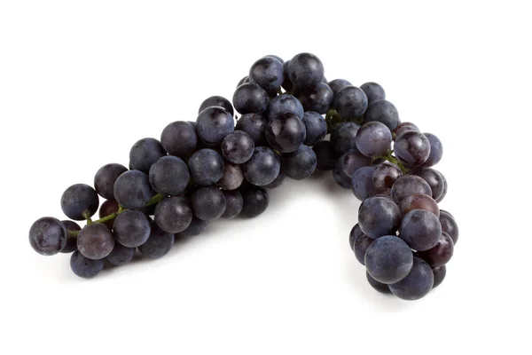 赤ワイン用ワインブドウ品種 — ストック写真