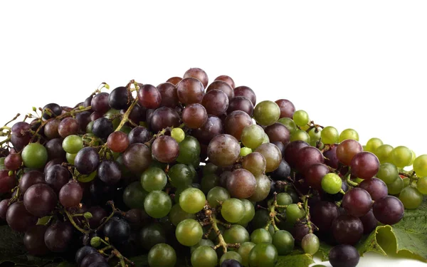 Fond Raisin Vin Variétés Noires Vertes Pour Vin Rouge Blanc — Photo