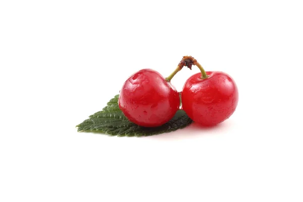 Nanking Cherry Far Eastern Delicacy — Stock Photo, Image