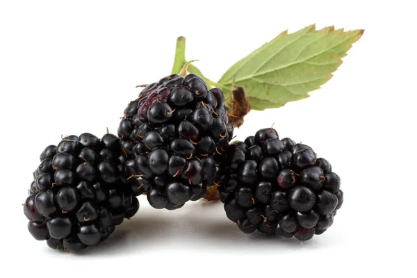 Ripe Blackberries White Background — Stock Photo, Image