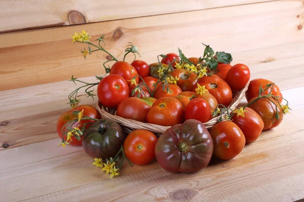 Tomaten Auf Dem Tisch Landhausstil — Stockfoto