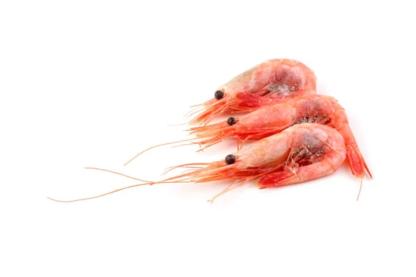 Shrimps Isolated White — Stock Photo, Image