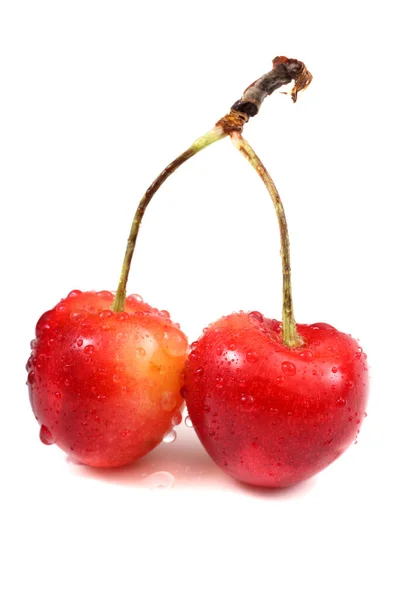 Cerezas Aisladas Sobre Fondo Blanco — Foto de Stock