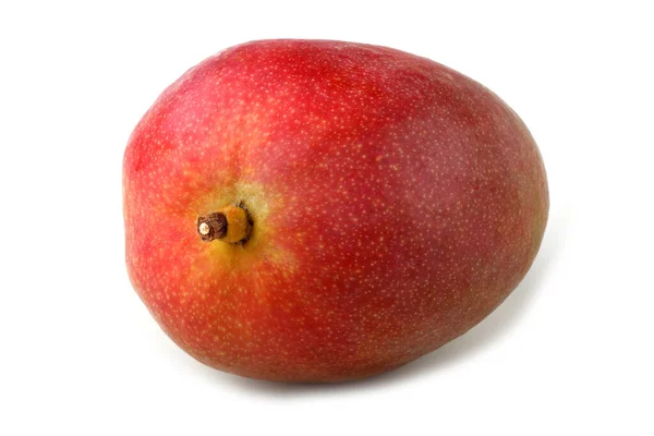 Mango Isolerad Vitt — Stockfoto