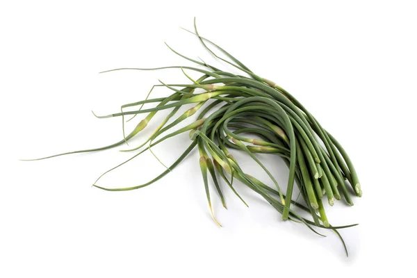 Setas Alho Isoladas Branco Cozinha Extremo Oriente Usar Esta Planta — Fotografia de Stock