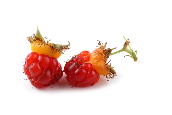 Koreaanse Frambozen Rubus Crataegifolius Verre Oosten Delicatesse — Stockfoto
