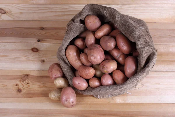 Gros Plan Sur Récolte Des Pommes Terre — Photo