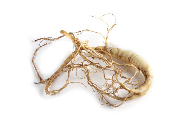 женьшень изолирован на белом фоне