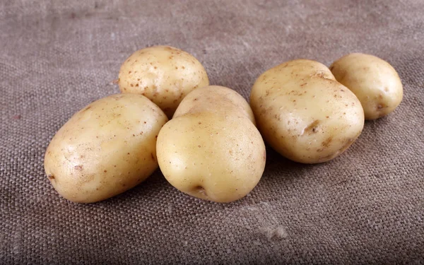 Sluiten Van Aardappeloogst — Stockfoto