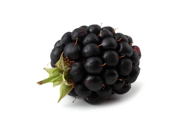 Blackberry Latar Belakang Putih — Stok Foto