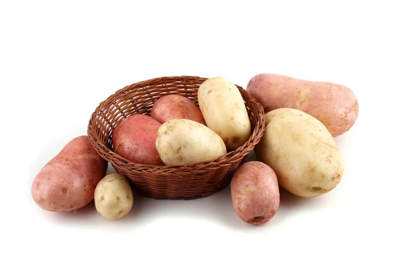 Primer Plano Cosecha Patatas — Foto de Stock