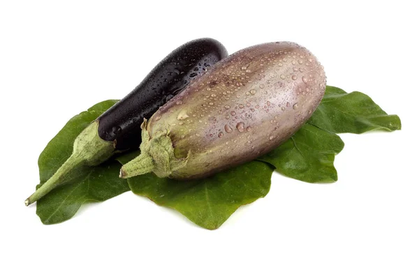 Close Van Rijpe Verse Aubergines — Stockfoto