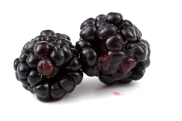 Blackberries Latar Belakang Putih — Stok Foto