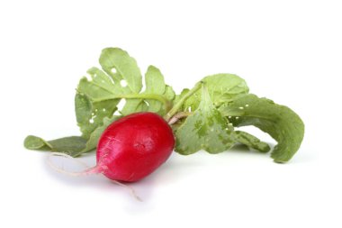 Beyaz arkaplanda taze turp izole edildi