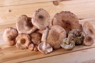 Masada bal mantarı var.