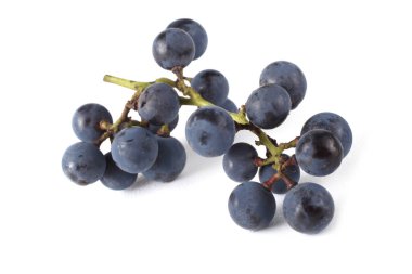 Beyaz şarap izole edilmiş.