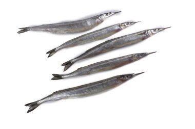 Garfish beyazda izole edilmiş.