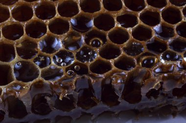 taze ve lezzetli bal peteği