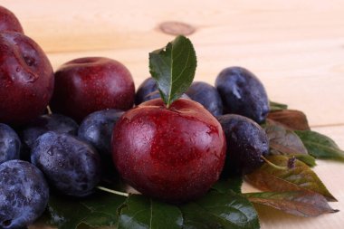 Olgun taze erikler. görünümü kapat