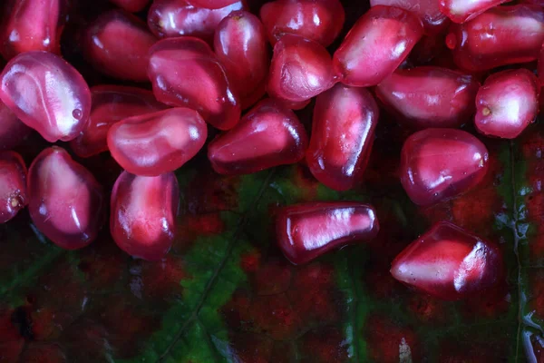 Close Fresh Pomegranate Seeds — Stock Photo, Image