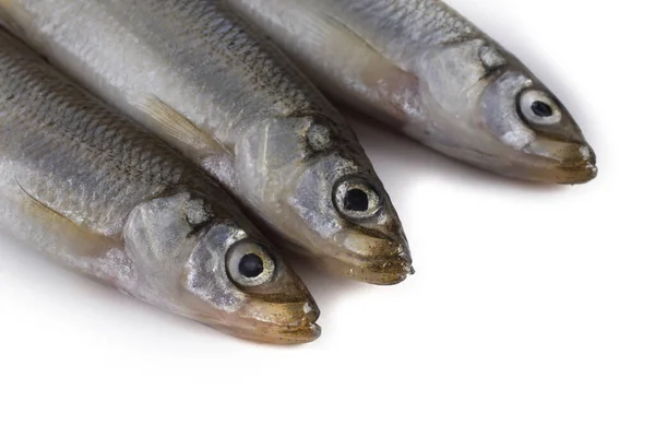 Asiatico Pesce Profumato Isolato Bianco — Foto Stock