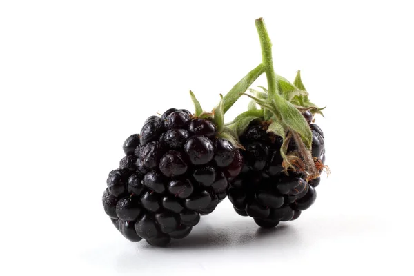 Blackberries Белом Фоне — стоковое фото