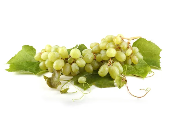 Uvas Maduras Aisladas Sobre Fondo Blanco — Foto de Stock