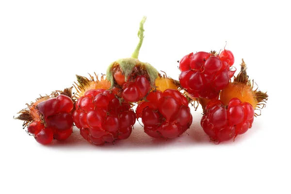 Koreaanse Frambozen Rubus Crataegifolius Verre Oosten Delicatesse — Stockfoto