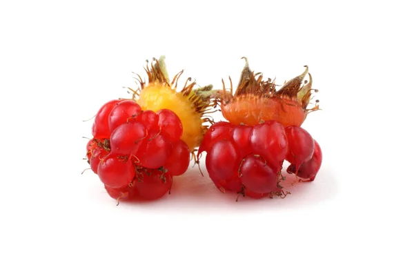 Koreaanse Frambozen Rubus Crataegifolius Verre Oosten Delicatesse — Stockfoto