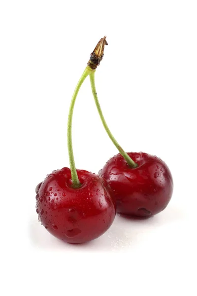 Cerezas Aisladas Sobre Fondo Blanco — Foto de Stock