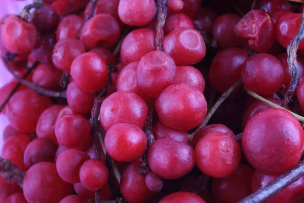 Schisandra Chinensis Berries Background — Stock Photo, Image