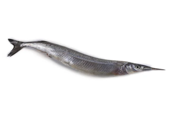 Garfish Isoliert Auf Weiß — Stockfoto