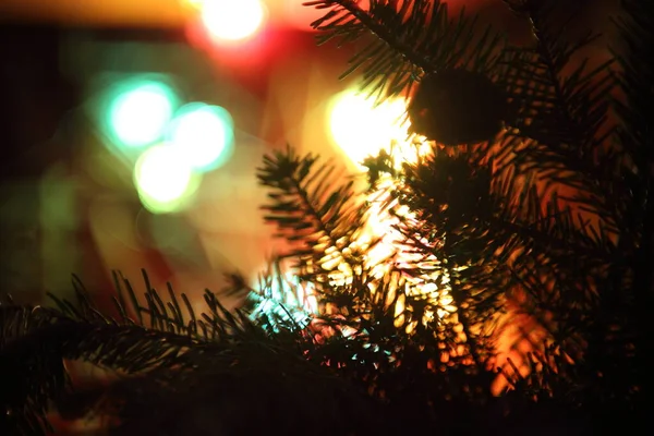 Christmas Abstract Background Fir Lights — Stock Photo, Image