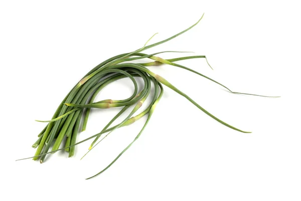 Česnekové Šípy Izolované Bílém Dálný Východ Kuchyně Použít Tuto Rostlinu — Stock fotografie